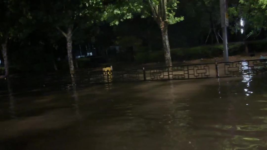 白海豚残涡回马枪：机票能全退、火车不停运不退、酒店申诉先看两个条件