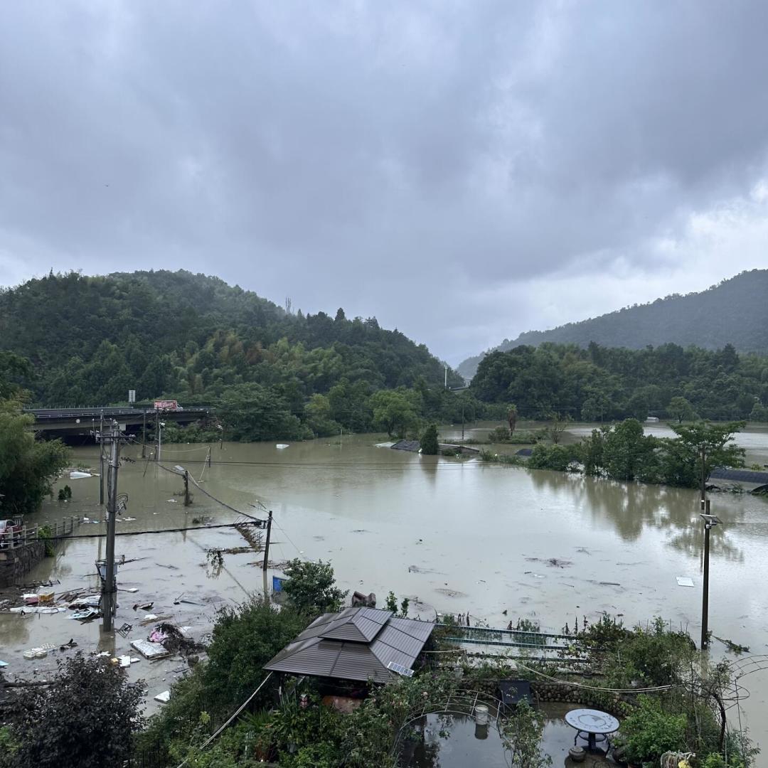 白海豚残涡回马枪：机票能全退、火车不停运不退、酒店申诉先看两个条件