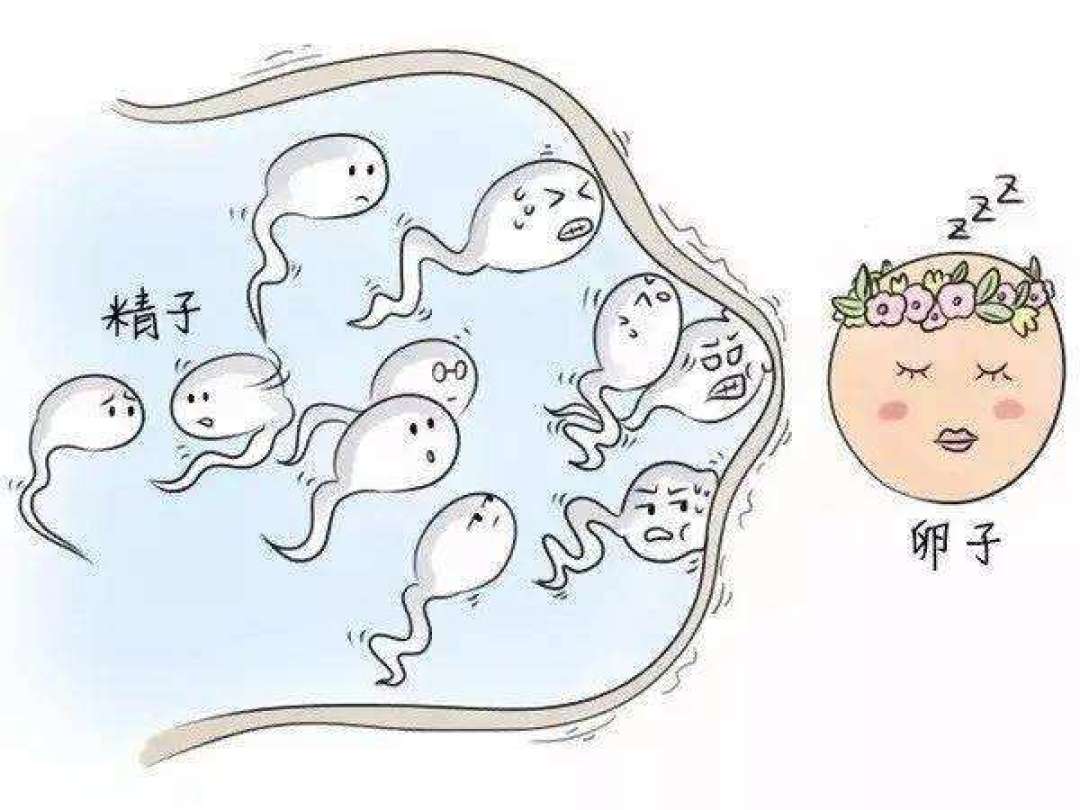 还有5天七夕:还在求“姨妈神”的,先把这9种避孕方式的真实失败率看完——你该怕的不是激素
