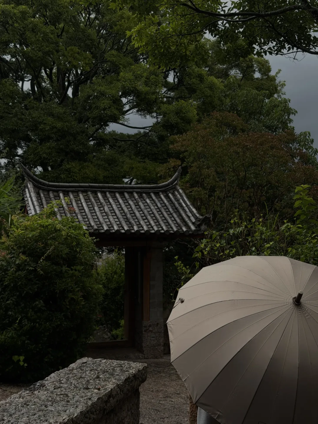 云南要“连下10天雨”?8月底出发前,把风险和红利算清楚