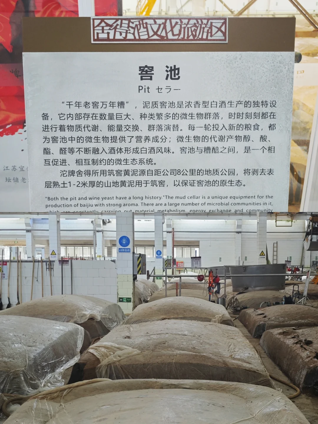 品味舍得跌到255元、半年报利润预减超六成:中秋前,舍得该不该伸手?