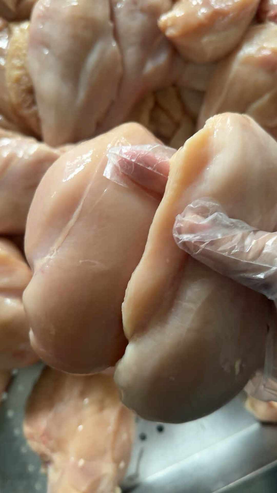 蛋白粉涨到一桶七八百，连带货的健美选手都说卖不动：算完每克蛋白的成本，我决定先改吃肉