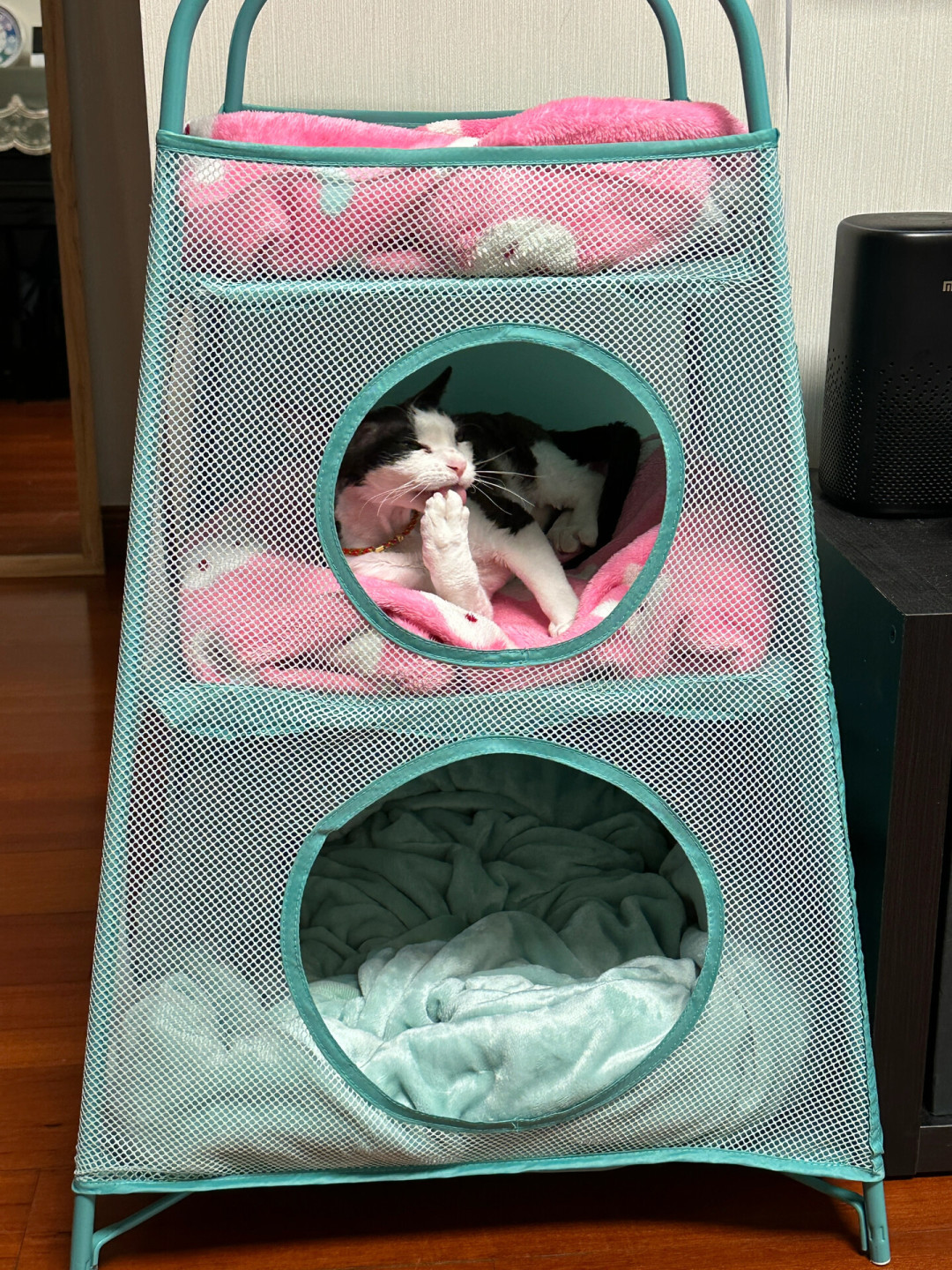 宜家还没开猫区,养猫人已经自己拼出来了:给猫买东西的3档预算和4个坑