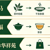 先看八马，再试天福，最后下单华祥苑——我的铁观音选茶全过程