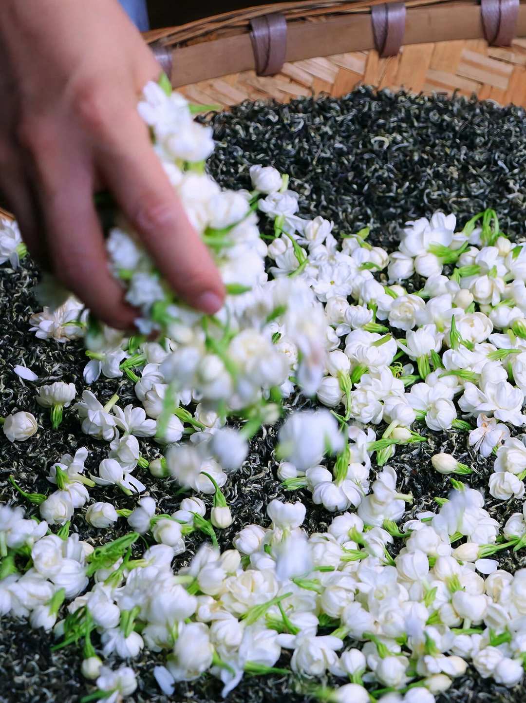 同样是碧潭飘雪,有的400元一斤,有的7800元一斤:趁伏花季把等级和买法说清楚
