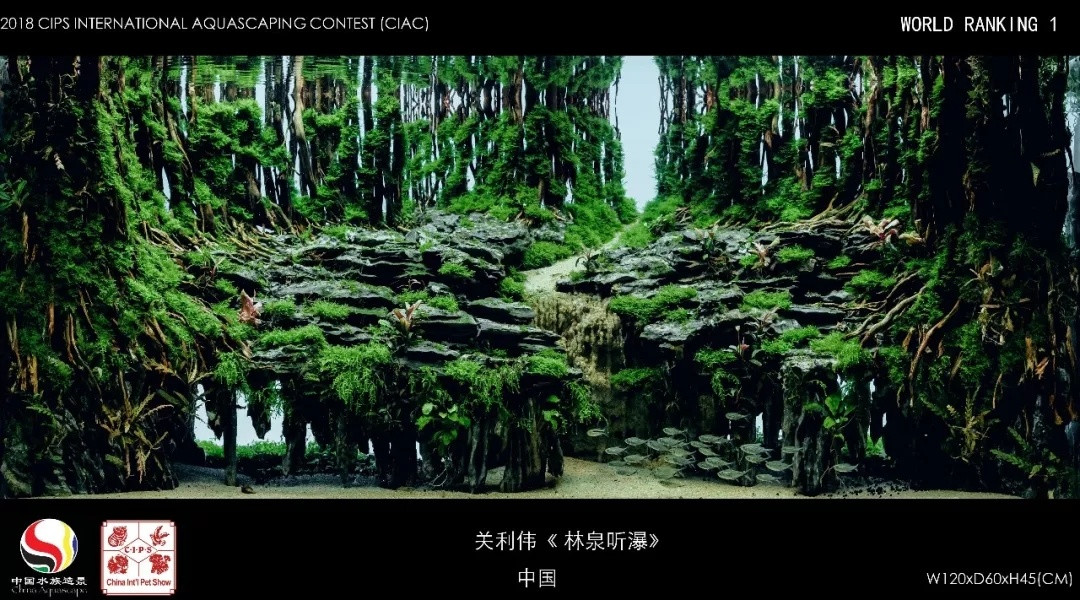 总奖金15万、“一颗水草就能参赛”:长城杯造景大赛开始报名了,你的缸离获奖有多远?