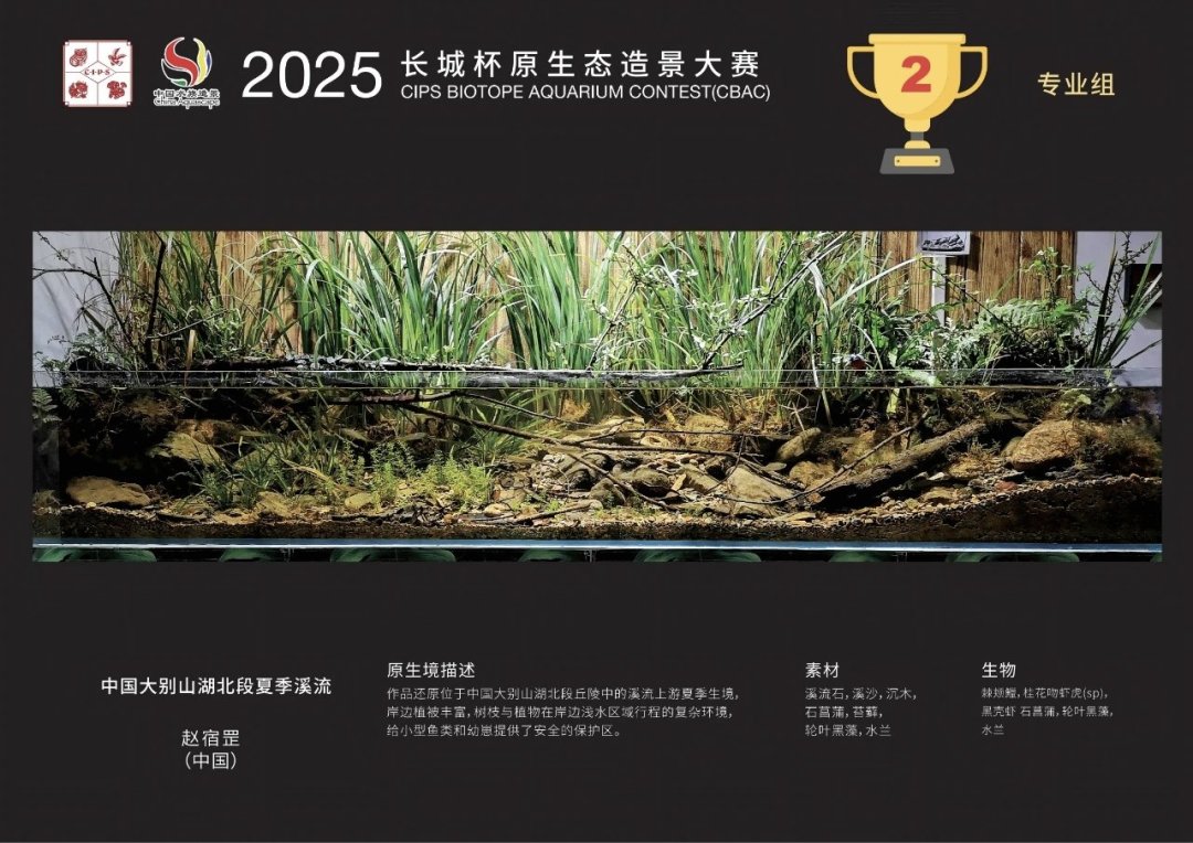 总奖金15万、“一颗水草就能参赛”:长城杯造景大赛开始报名了,你的缸离获奖有多远?