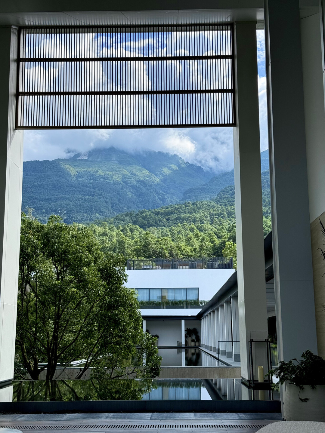 大理艾迪逊开业2个月,房价比三亚贵一倍:翻遍全网真实入住帖,我把账算清了