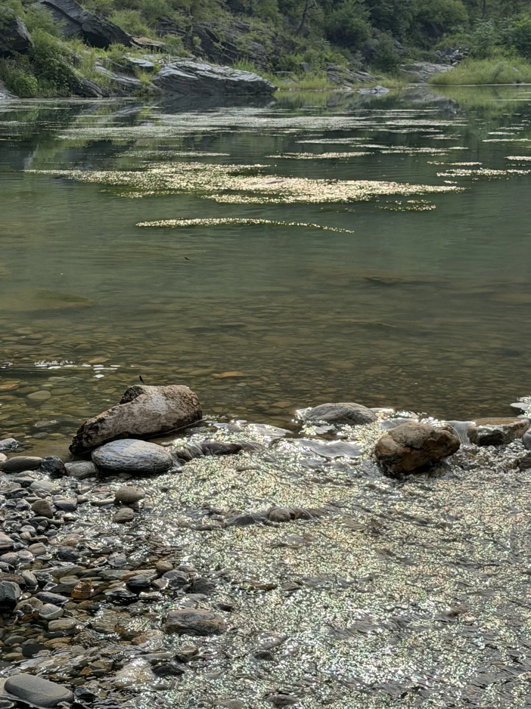 盛夏正是“彩马”发色旺季:翻遍全网发色记录,出钓前把时间、地点和钓法看明白