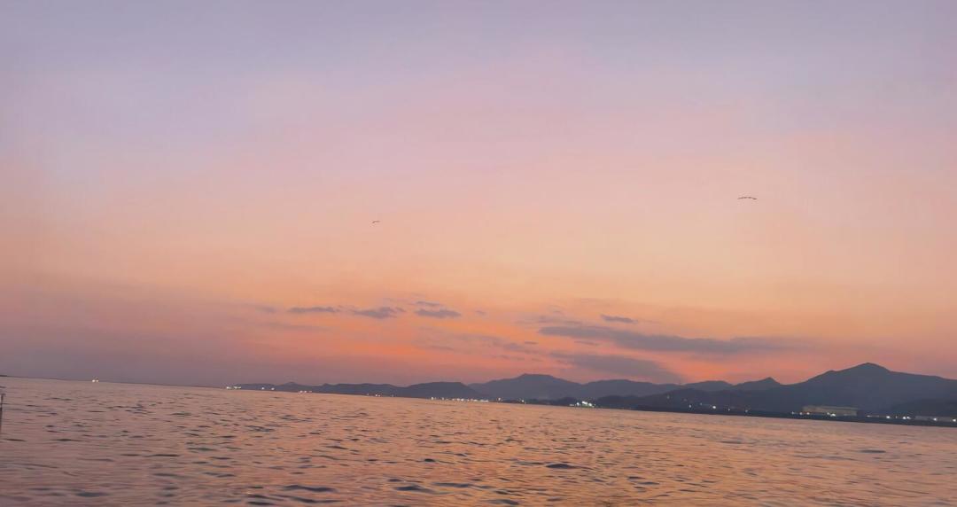 明天开海,鱿鱼季进入最后窗口:广东夜钓鱿鱼的船价、班次和避坑点,都整理在这了