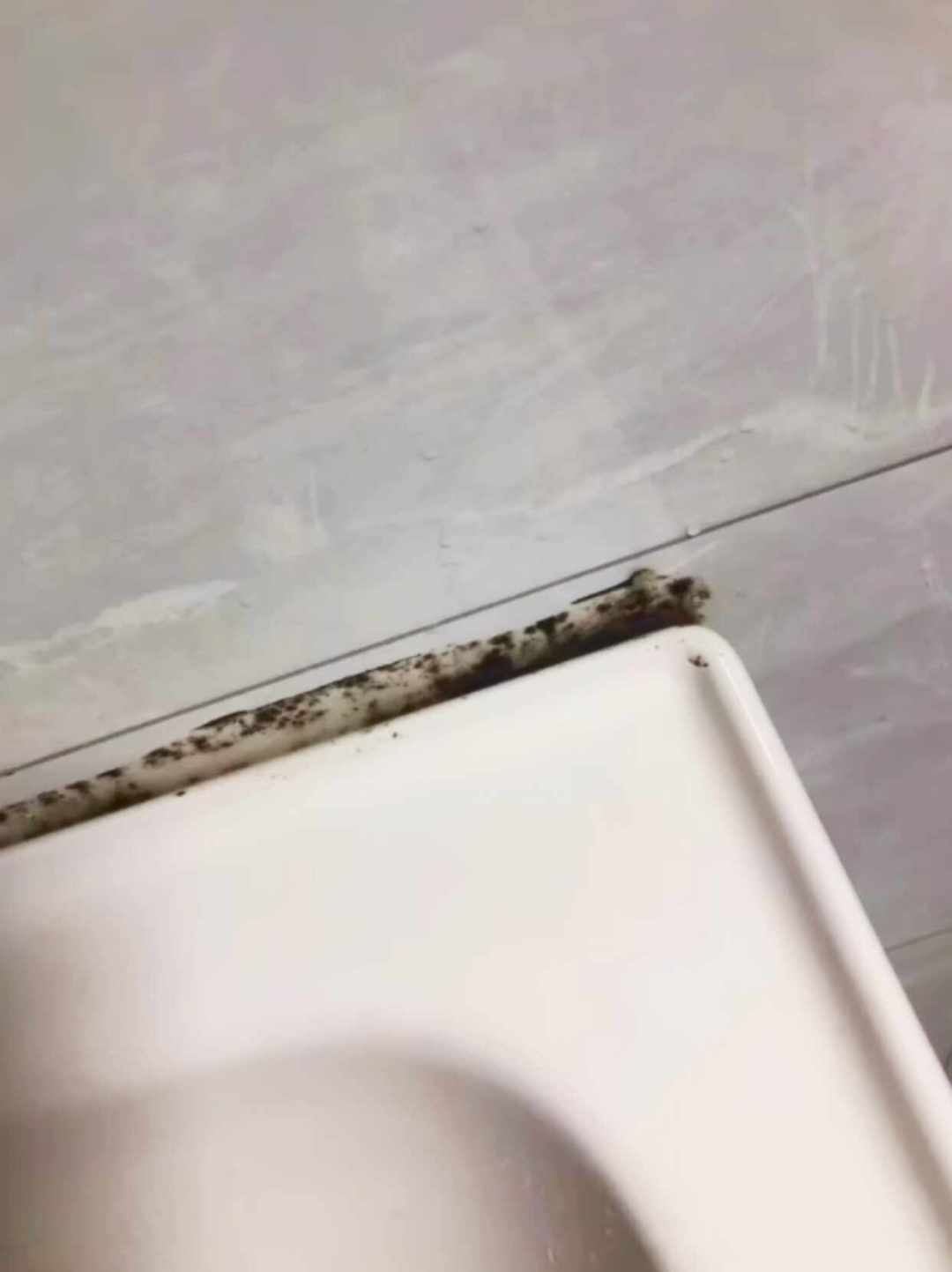 擦完没几天又长出来？卫生间胶条发霉，先分清三个阶段再决定花多少钱