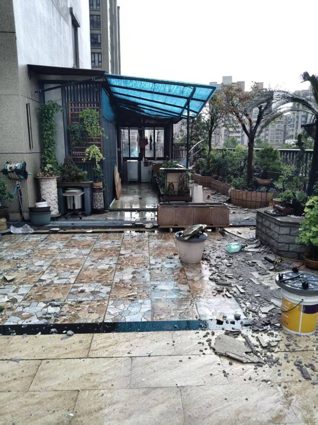 立秋过了先别急着换盆:今年“秋包伏”+白海豚回马枪,度夏后整修只看28℃这把尺