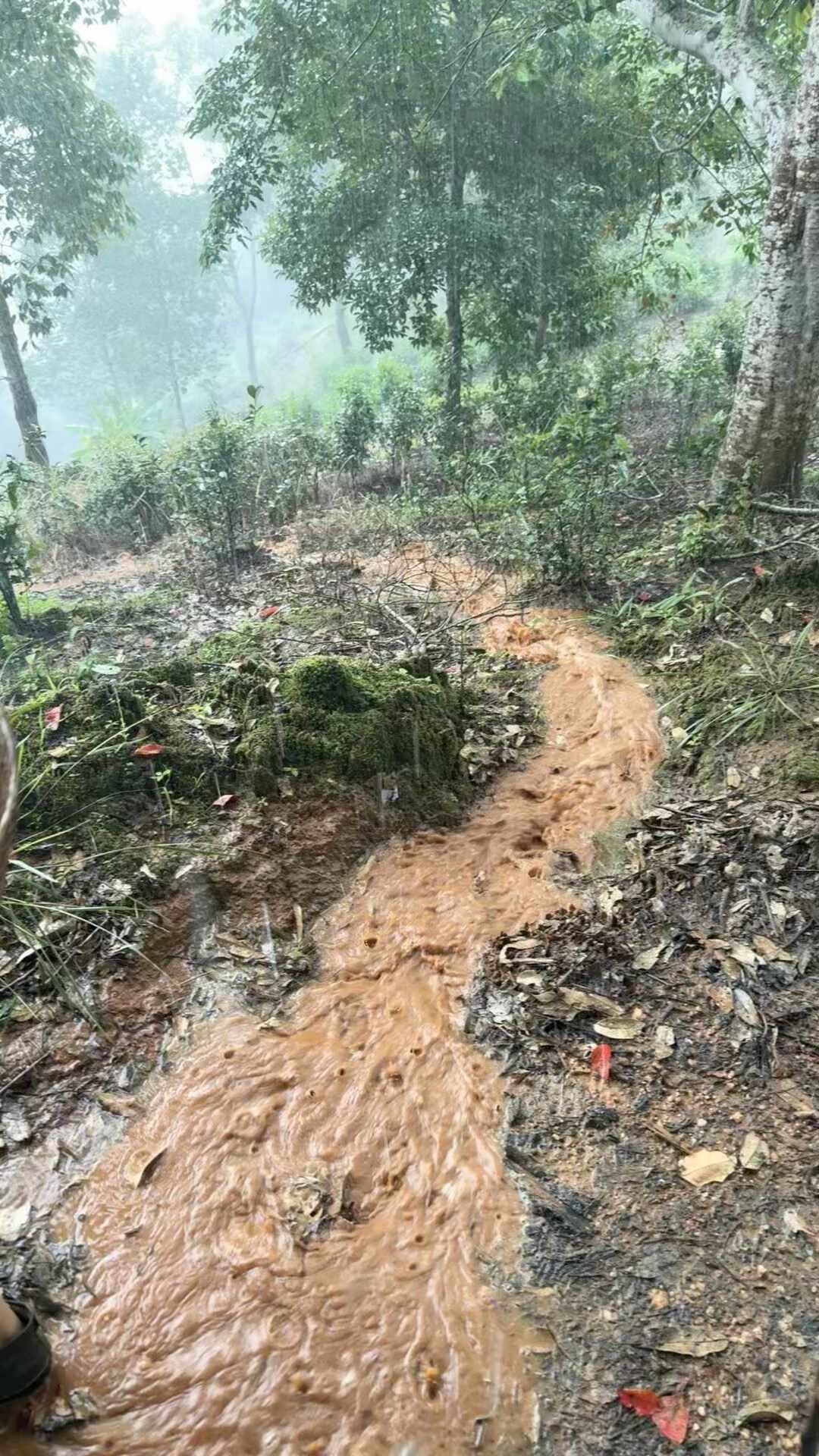 天气预报显示云南天天下雨到月底:退票前,先看看你的行程属于哪一类
