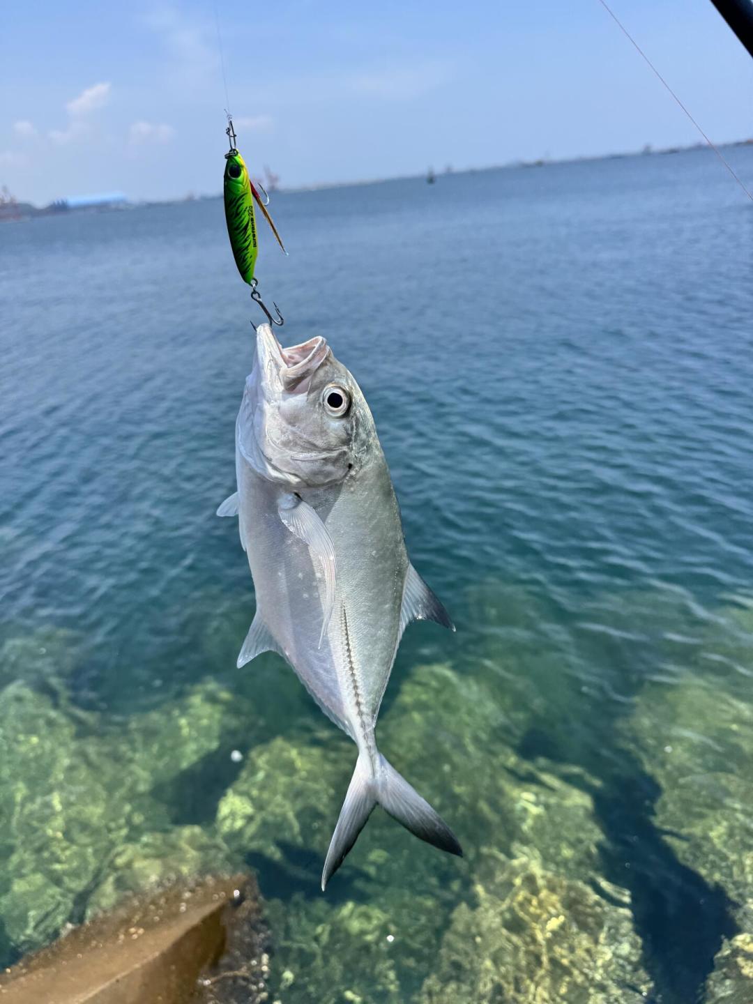 白海豚残涡刚过境,河道涨水又退水:路亚人这周末出钓前,先过一遍这份清单