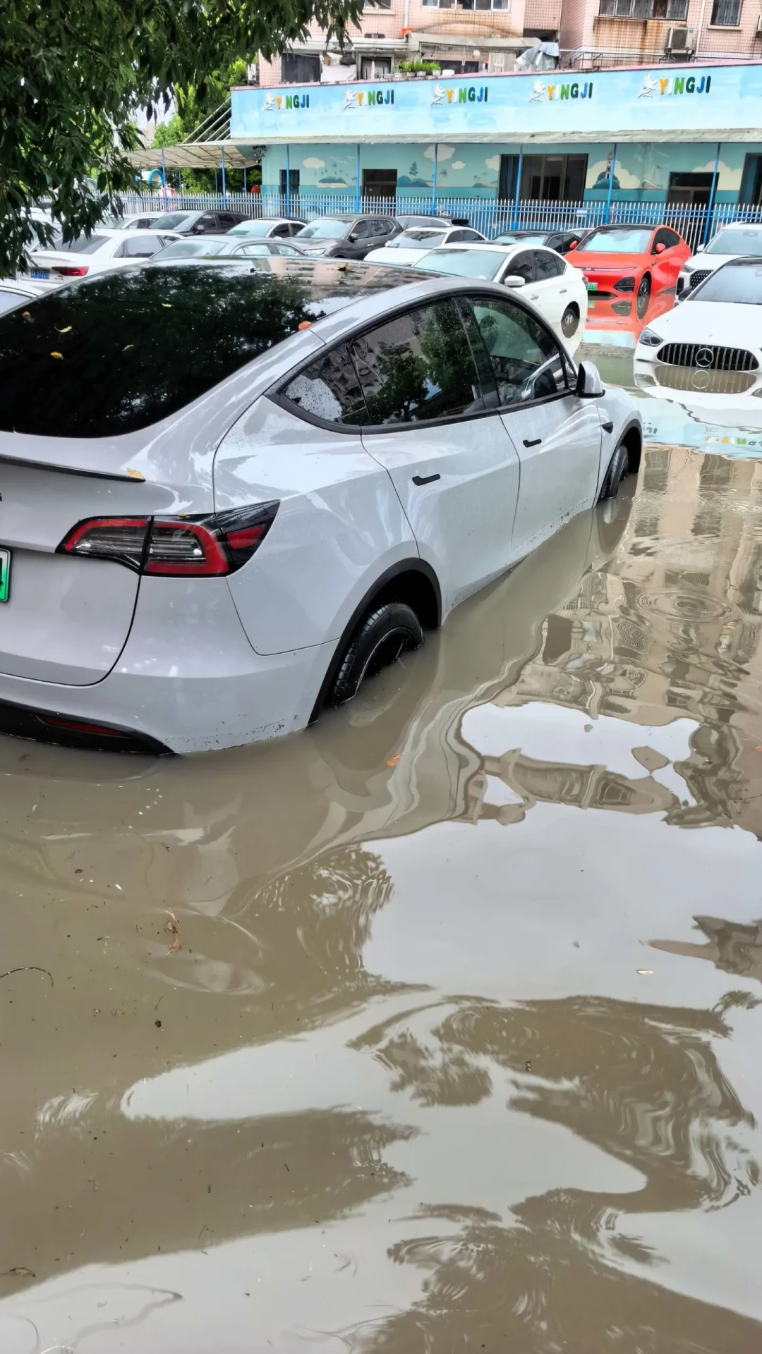 台风19号、18号接连夹击华南华东：电车到底能蹚多深的水？泡水后这4步决定你能赔多少