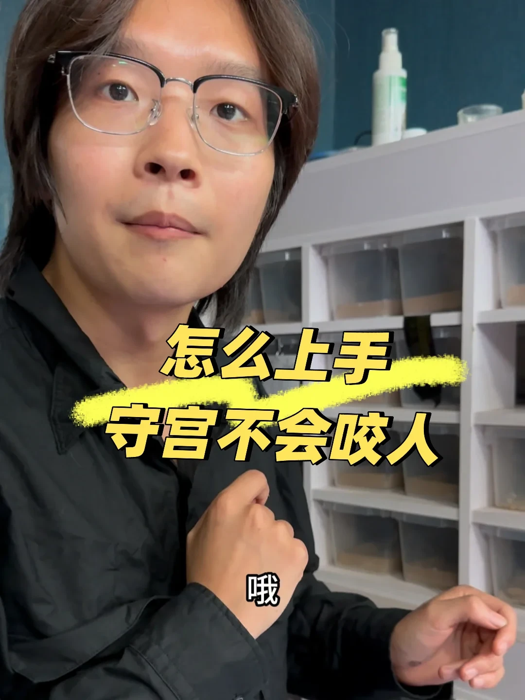 同样是豹纹守宫,为什么有的15块有的卖800:4档品系价格理清楚了,入手前先看这篇
