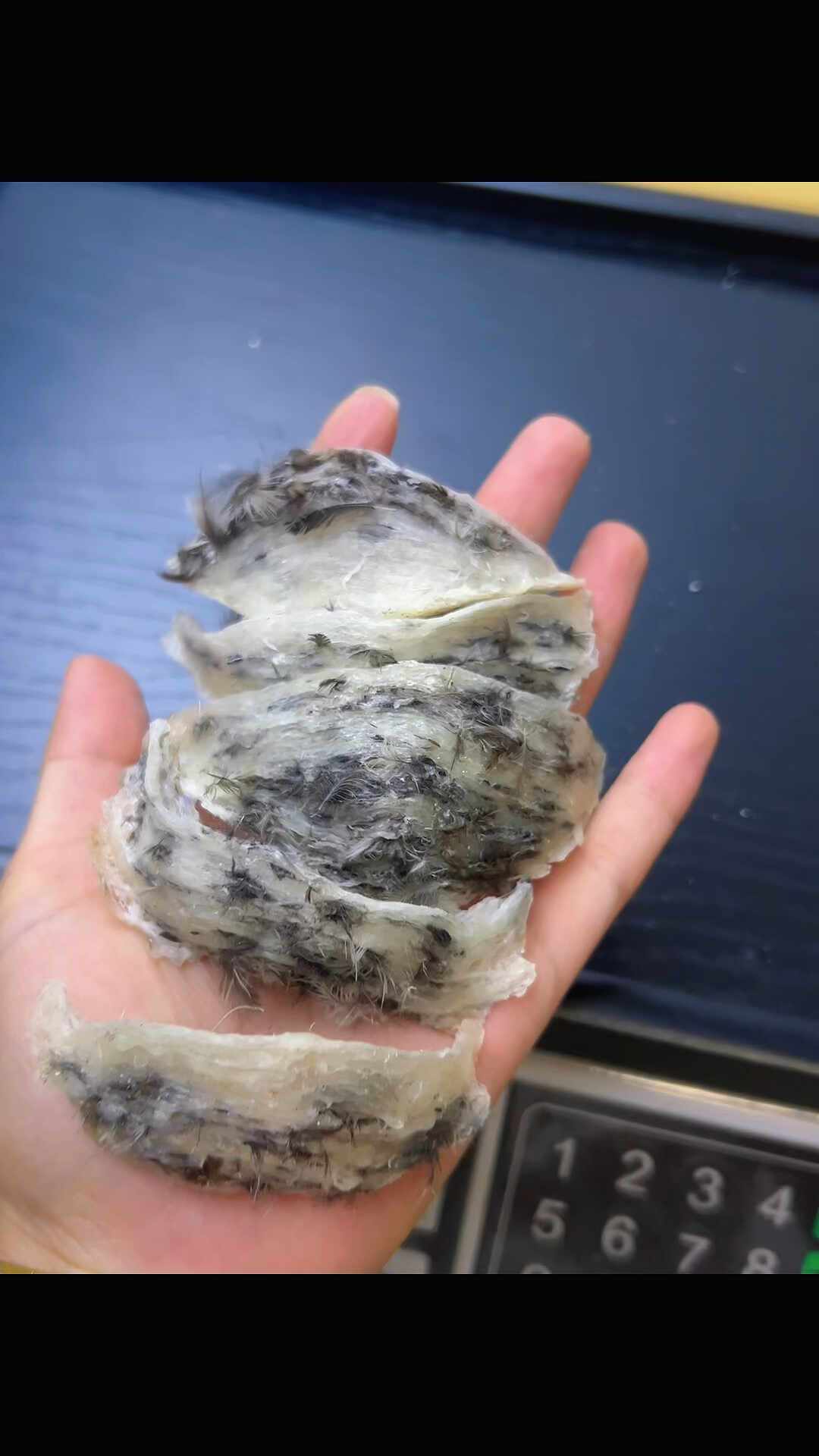 一半人说燕窝是智商税,说“不是”的帖子里不少是软文:核对三平台153条帖子后,我把下单前的4个问题写清楚了