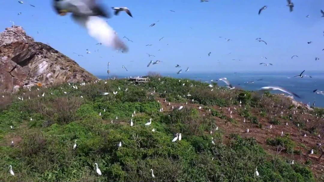 长山群岛正式入列世界自然遗产:4处核心岛礁都不能登,为什么还值得去一趟