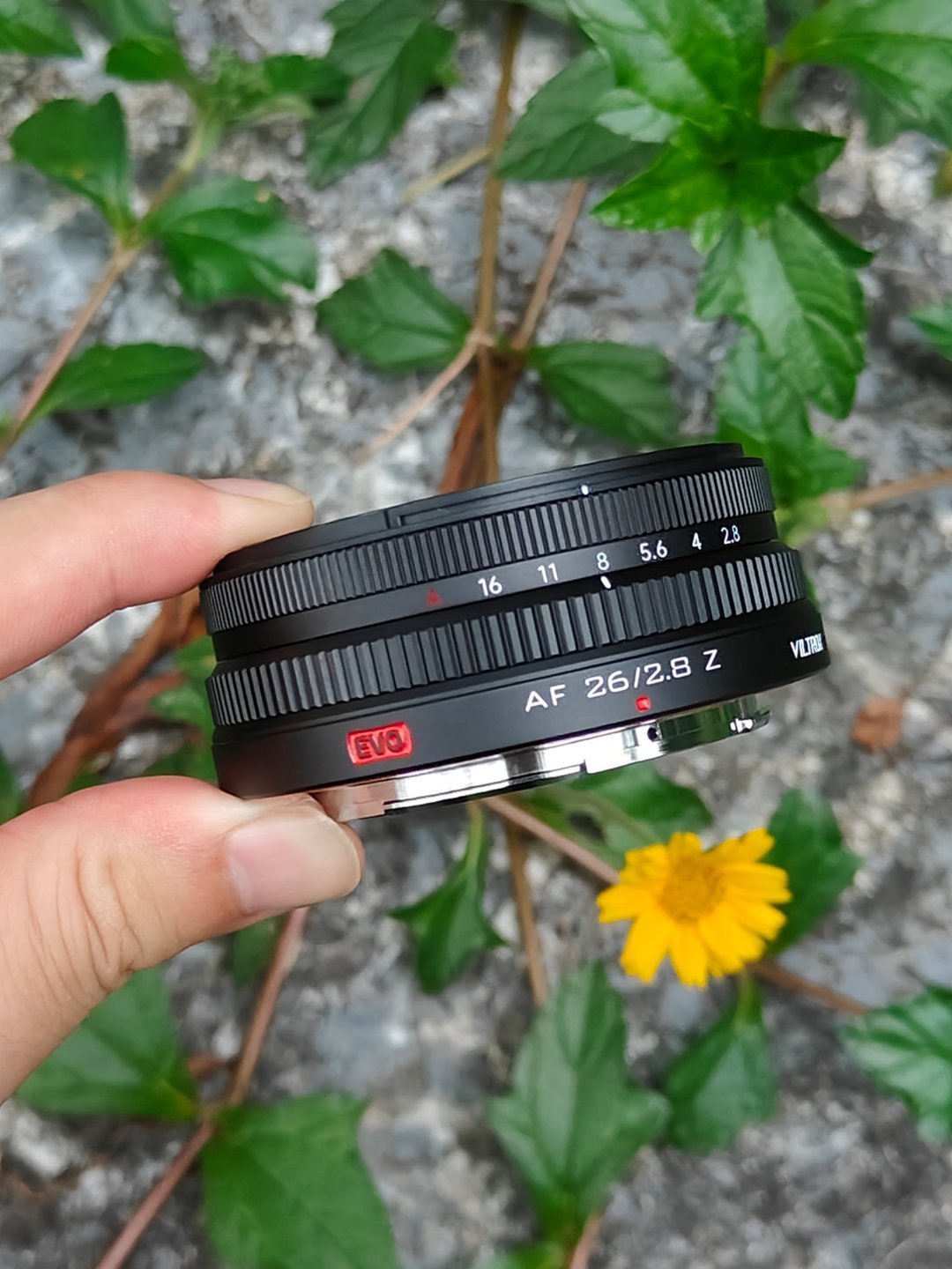 原厂85mm卖4199元,它只卖1299元:唯卓仕EVO四支千元定焦,谁可以闭眼入、谁要绕道