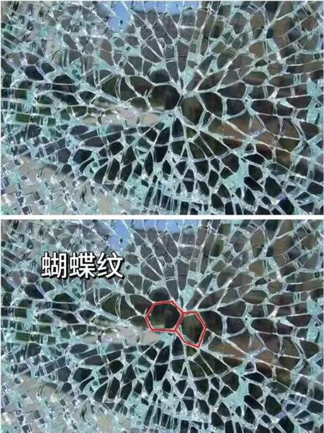 西晒飘窗像烤箱：10块到几百块的4种降温方案，这几种玻璃千万别乱贴膜