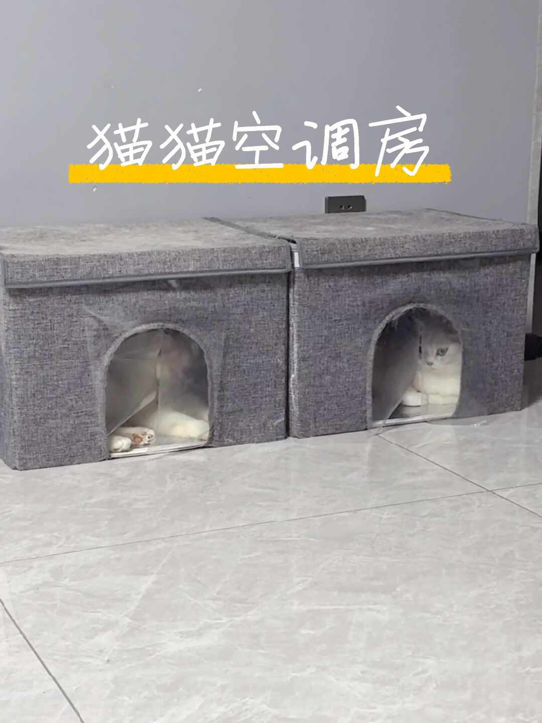 白天出门,要不要给猫留空调?先算清这三笔账,再不用吵架