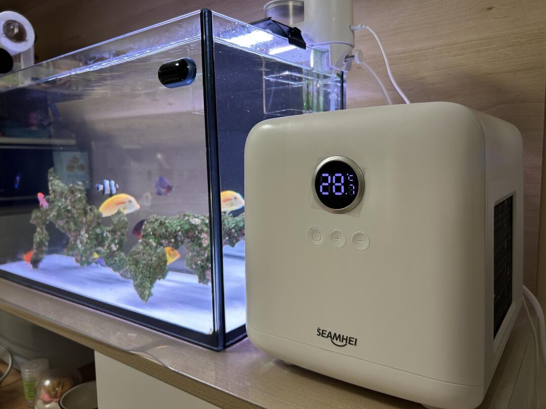 水温卡在32℃下不去,鱼缸冷水机值得买吗?降温装备算账:百元风扇、千元冷水机,还有人已改租,月租几十块