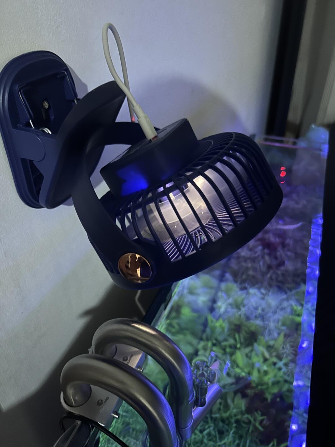 水温卡在32℃下不去,鱼缸冷水机值得买吗?降温装备算账:百元风扇、千元冷水机,还有人已改租,月租几十块