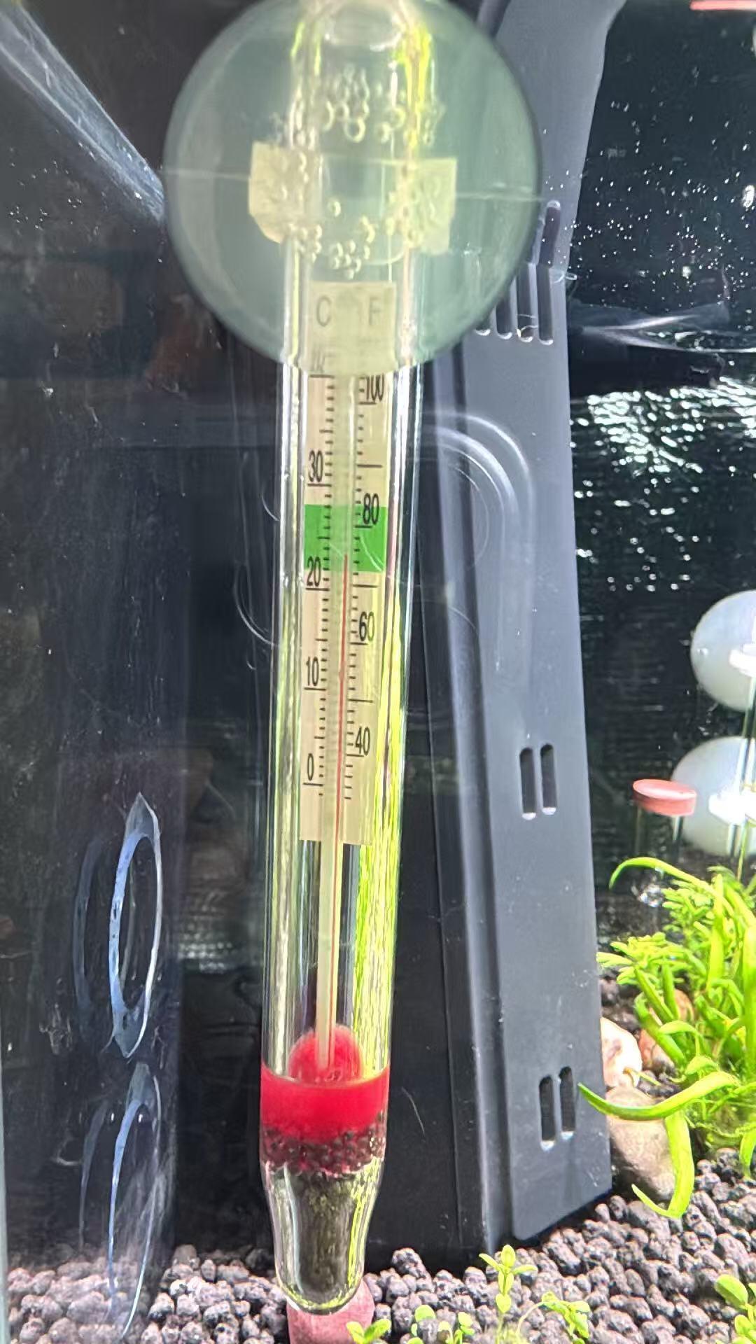 水温卡在32℃下不去,鱼缸冷水机值得买吗?降温装备算账:百元风扇、千元冷水机,还有人已改租,月租几十块