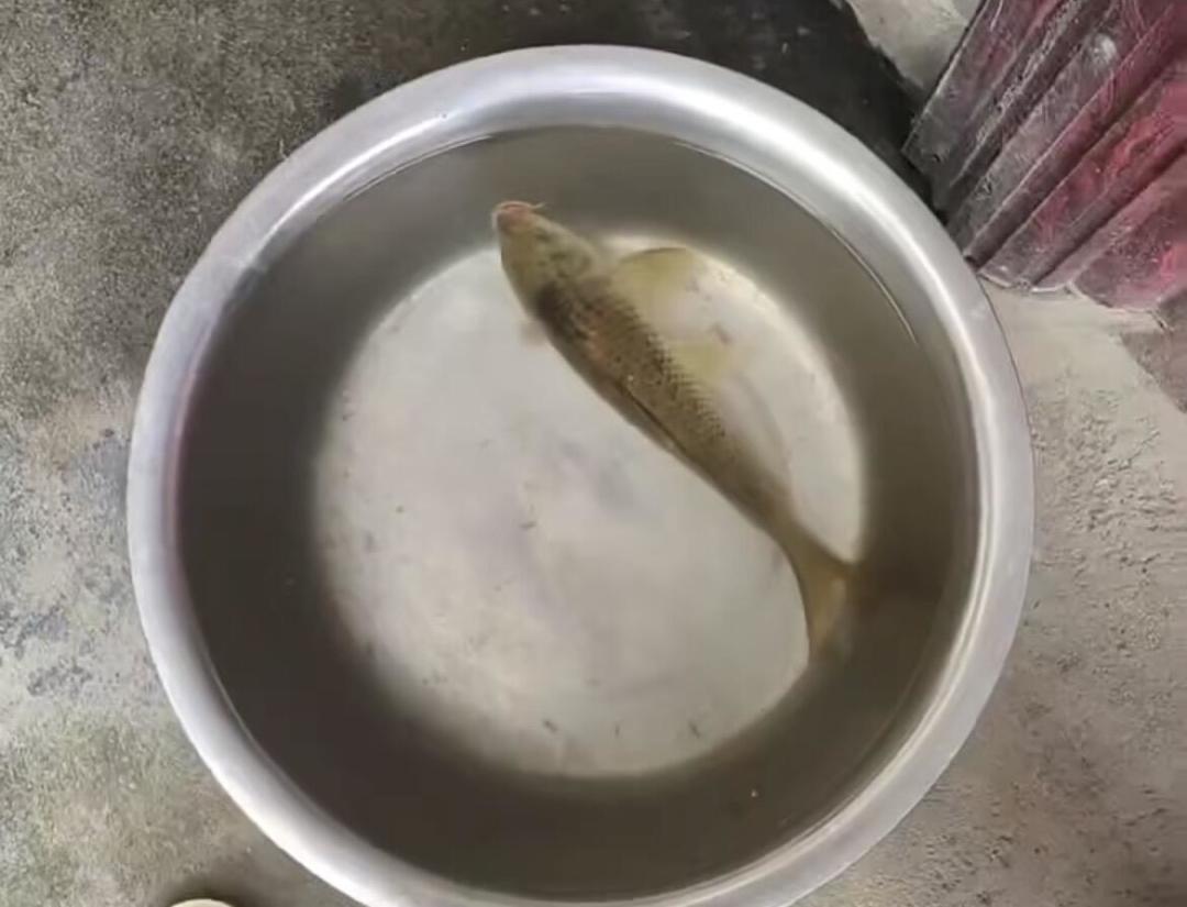 第一根鱼竿，33块练手还是直接500块一步到位？我把两派的账都算了一遍