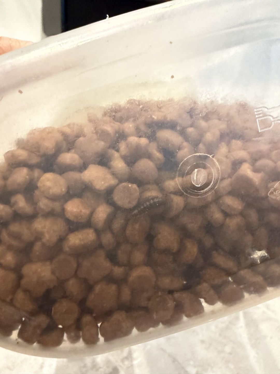 VE冻干爬出活虫不是初犯：翻完6年全网投诉，家里囤着冻干的养狗人现在该做什么