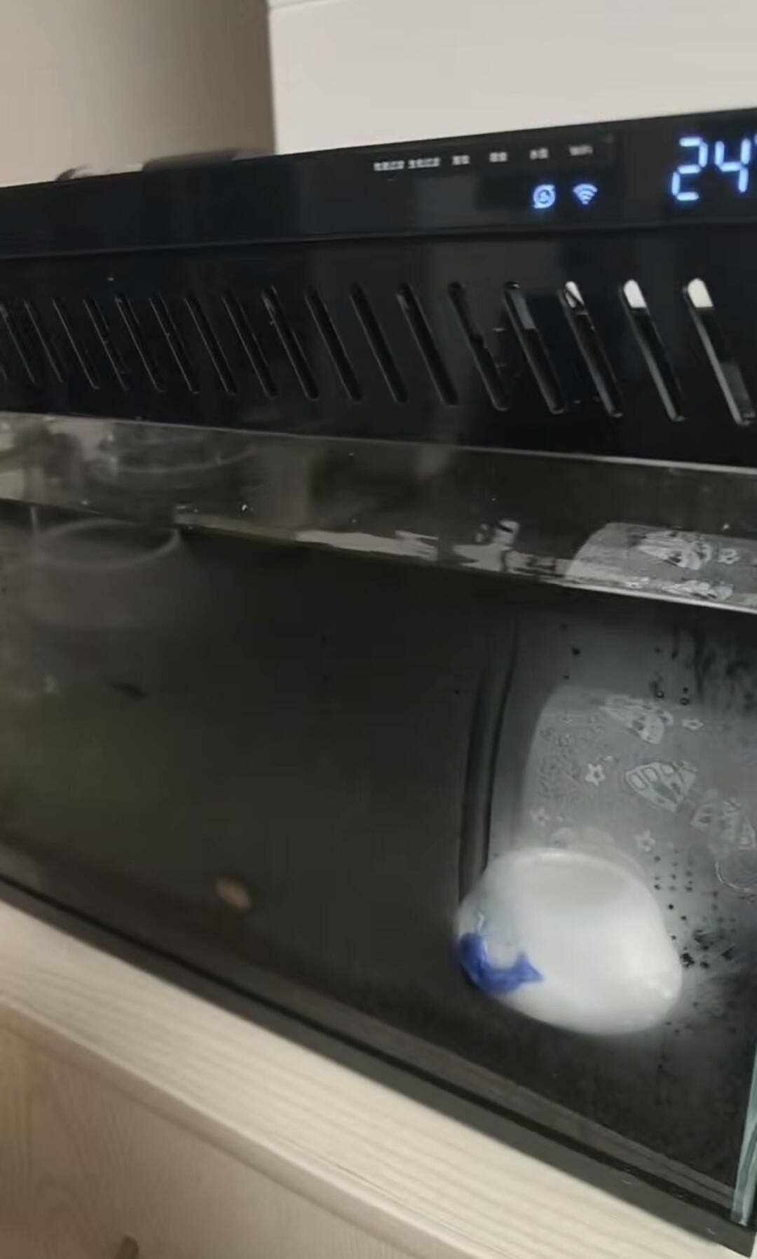 鱼缸水温破30℃,鱼多半不是热死是闷死:0元起四种降温方案怎么选