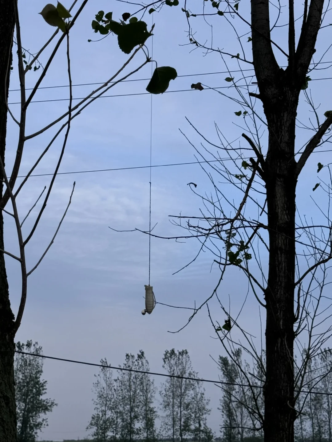 立秋后黑鱼去哪了?翻完抖音B站小红书,答案一致:鱼没消失,是搬家了