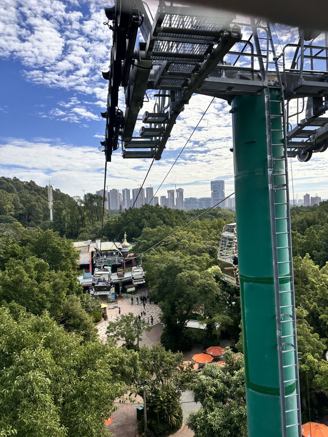 长隆一年一度的周年庆8月20日开售:囤套餐能省多少、下单前要看清的4个坑,一次说清