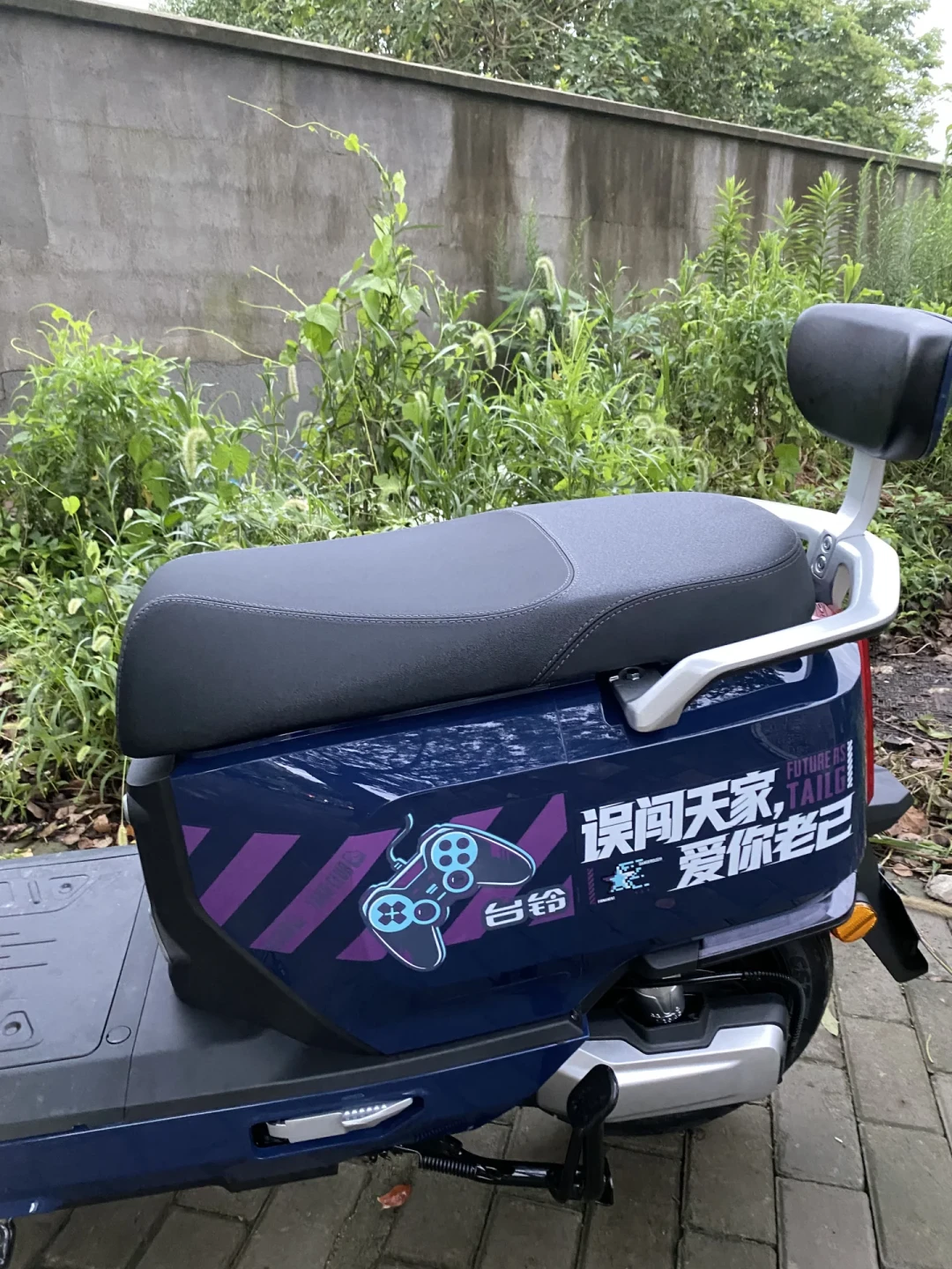 台铃车主的“智能云盒”悄悄被销号了？别急着掏150元换硬件，42元恢复的路已经有人跑通