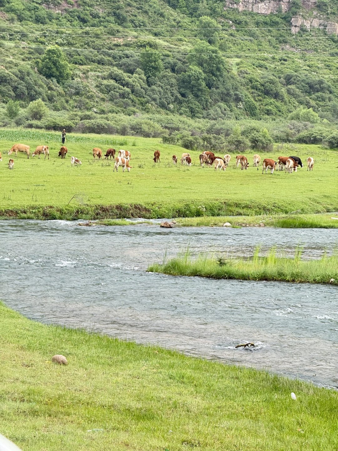 山西今年突然成了避暑顶流?翻完全网实测,凉快、花费和坑都给你列好了