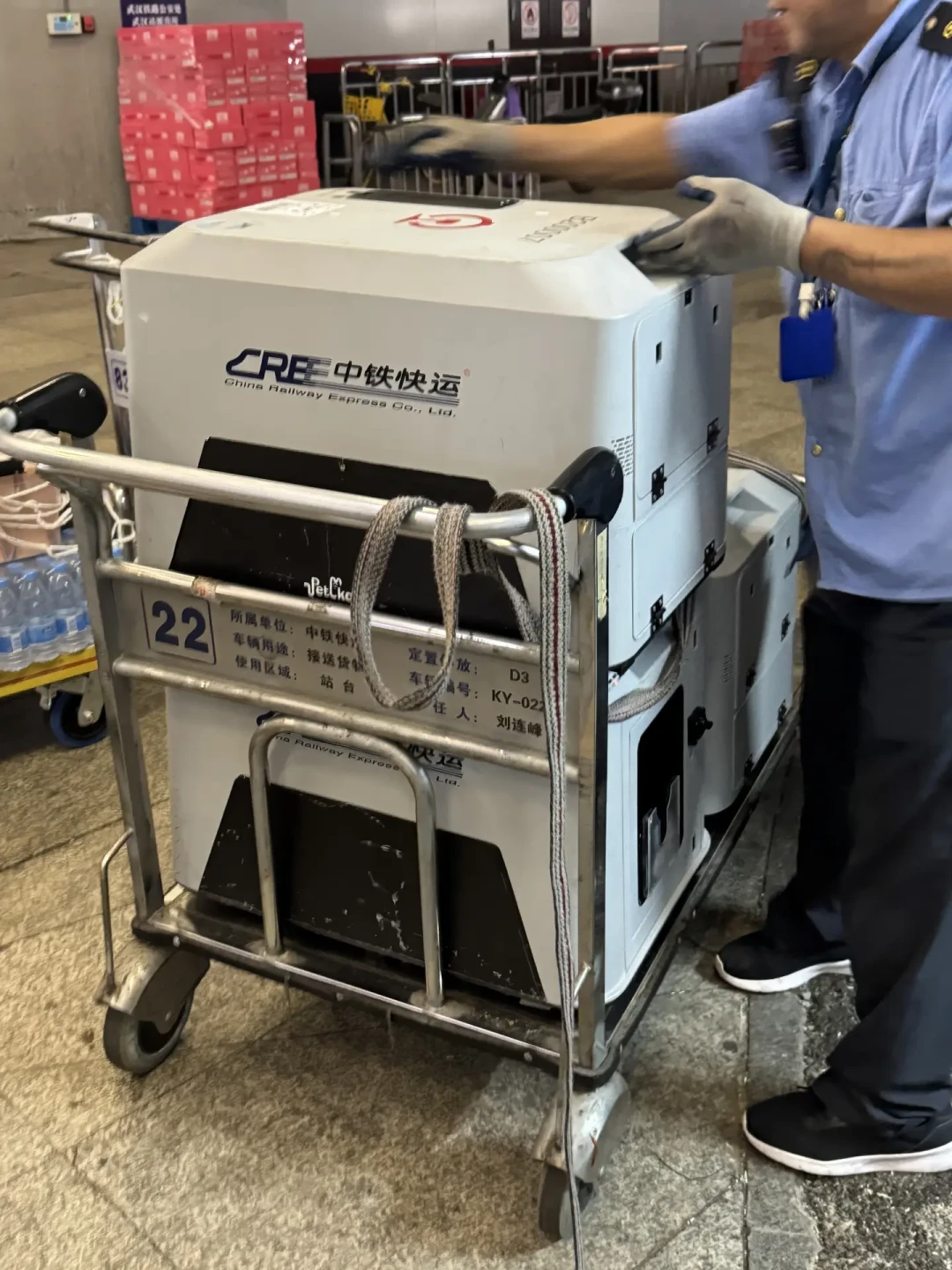 高铁宠物托运360元一只起，已覆盖全国163站：预约“爱宠行”前先查这5项