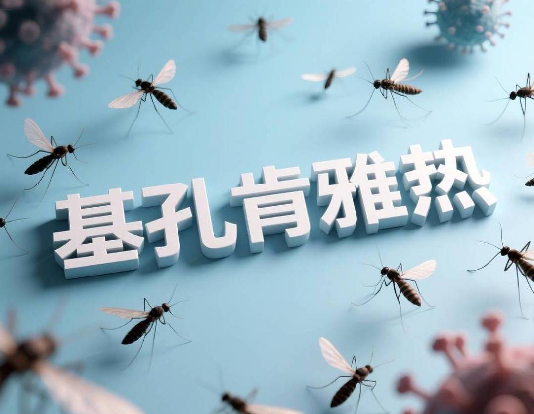 被蚊子咬后发烧，先别急着吃布洛芬：退热药3条红线、病程时间表和7个必须就医的信号