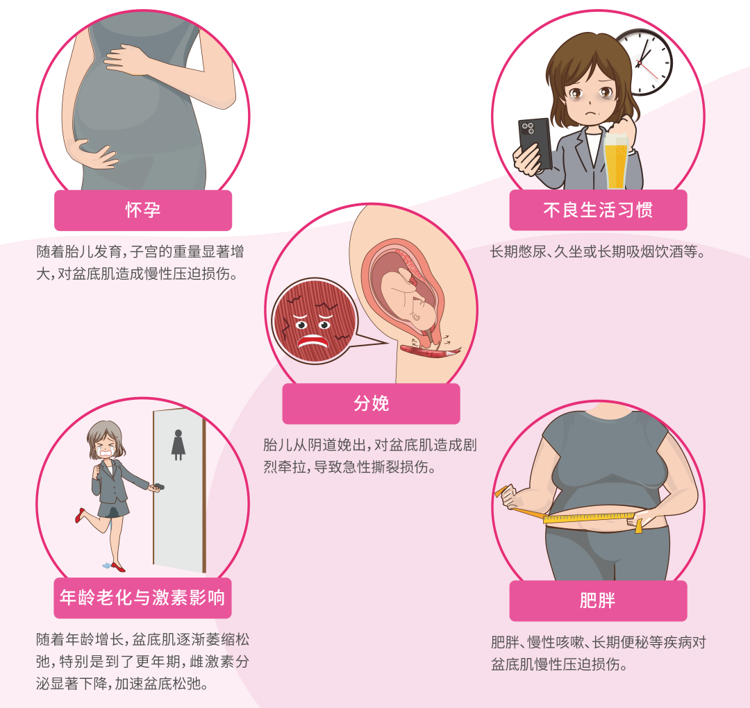 产后42天复查完，医生给开的盆底肌康复单：电疗、磁疗、生物反馈、私密修复，逐项拆给你看