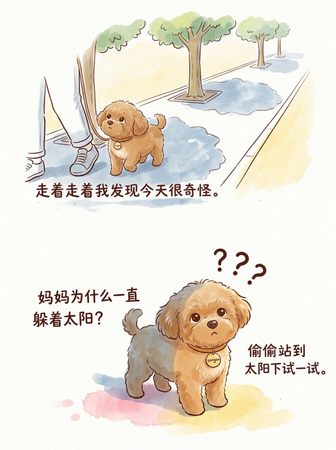 38℃几点遛狗?1167条评论吵到分钟,其实这事从来不是
