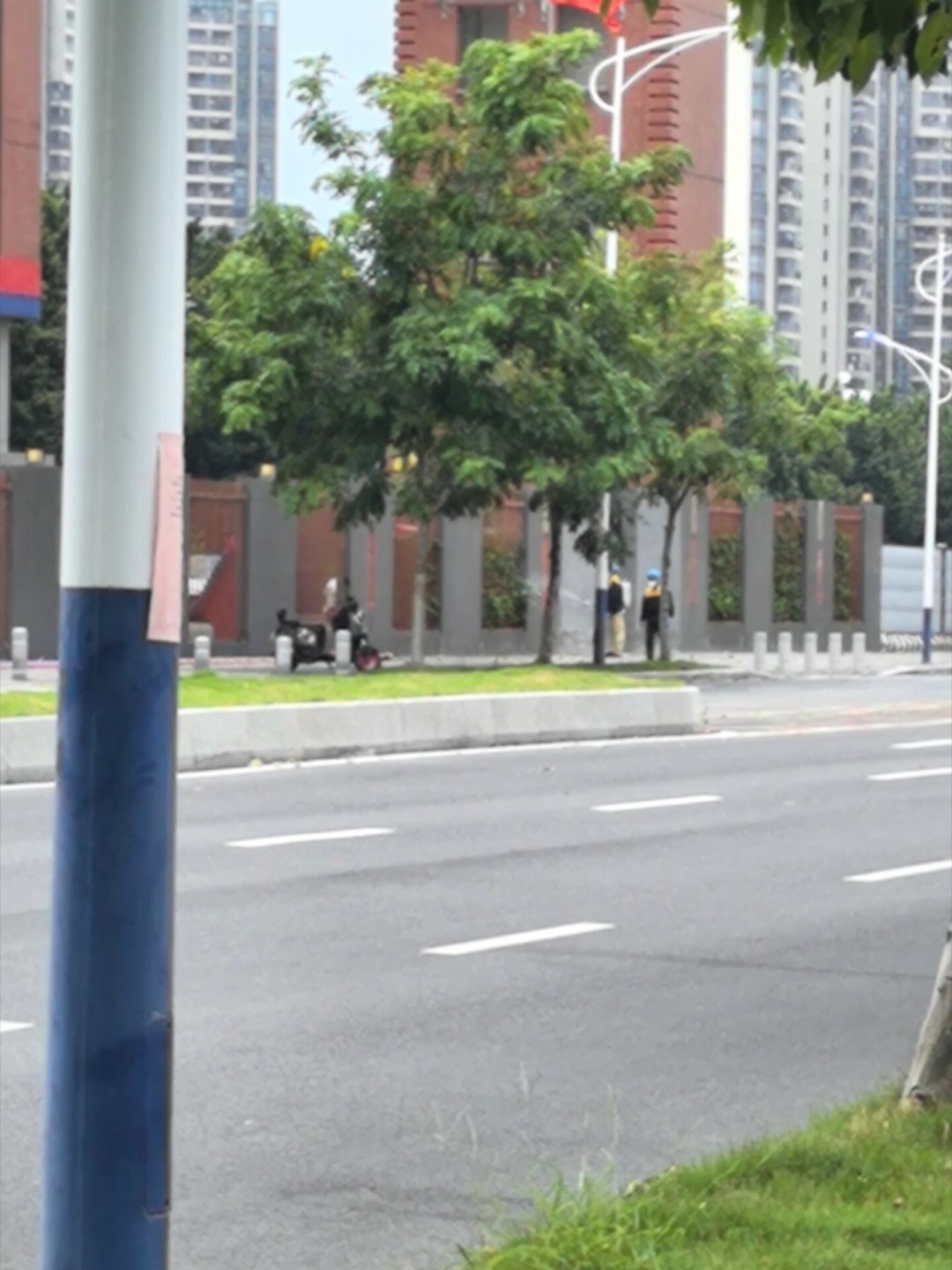 “两热”第二年，居委开始上门抽血：翻完疾控防控方案和全网30多篇驱蚊帖，哪种成分真管用、哪些不用买，一次说清
