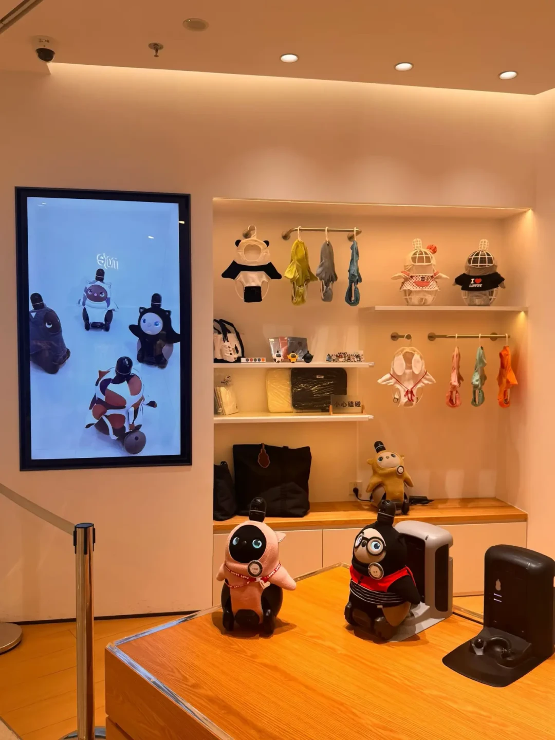 LOVOT店里撸得越萌，越要冷静：8月免费体验窗口，用一次上手想清楚要不要买单