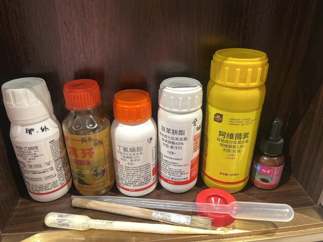 红蜘蛛8月又爆发:为啥别人喷3次就压住,你却喷到破产?花钱前先分清