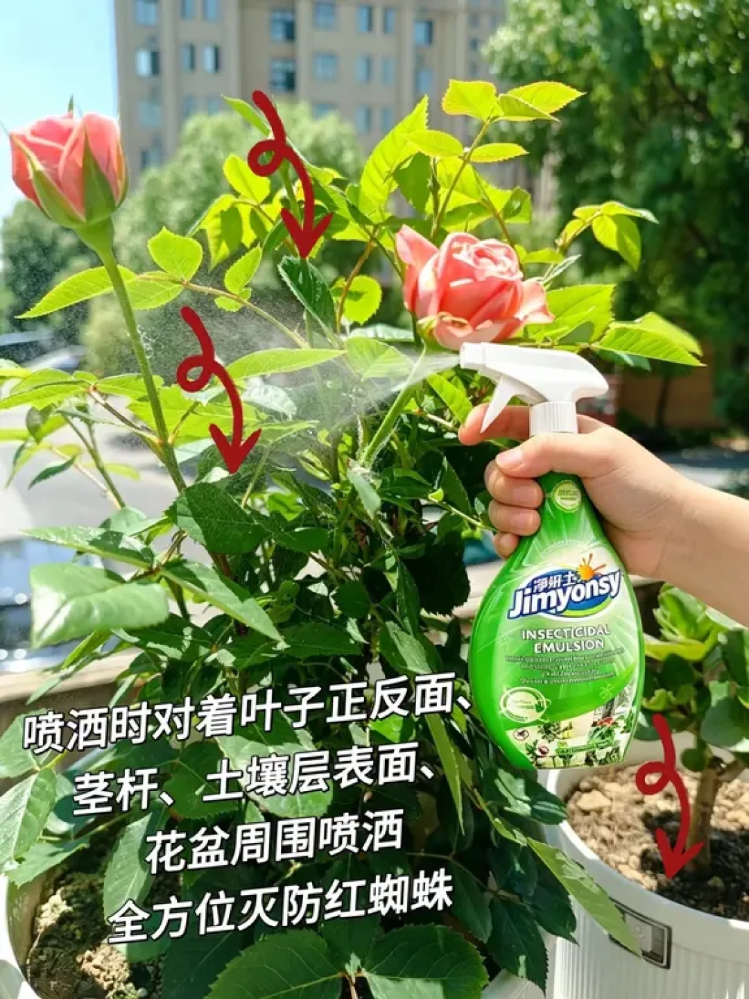 红蜘蛛8月又爆发:为啥别人喷3次就压住,你却喷到破产?花钱前先分清