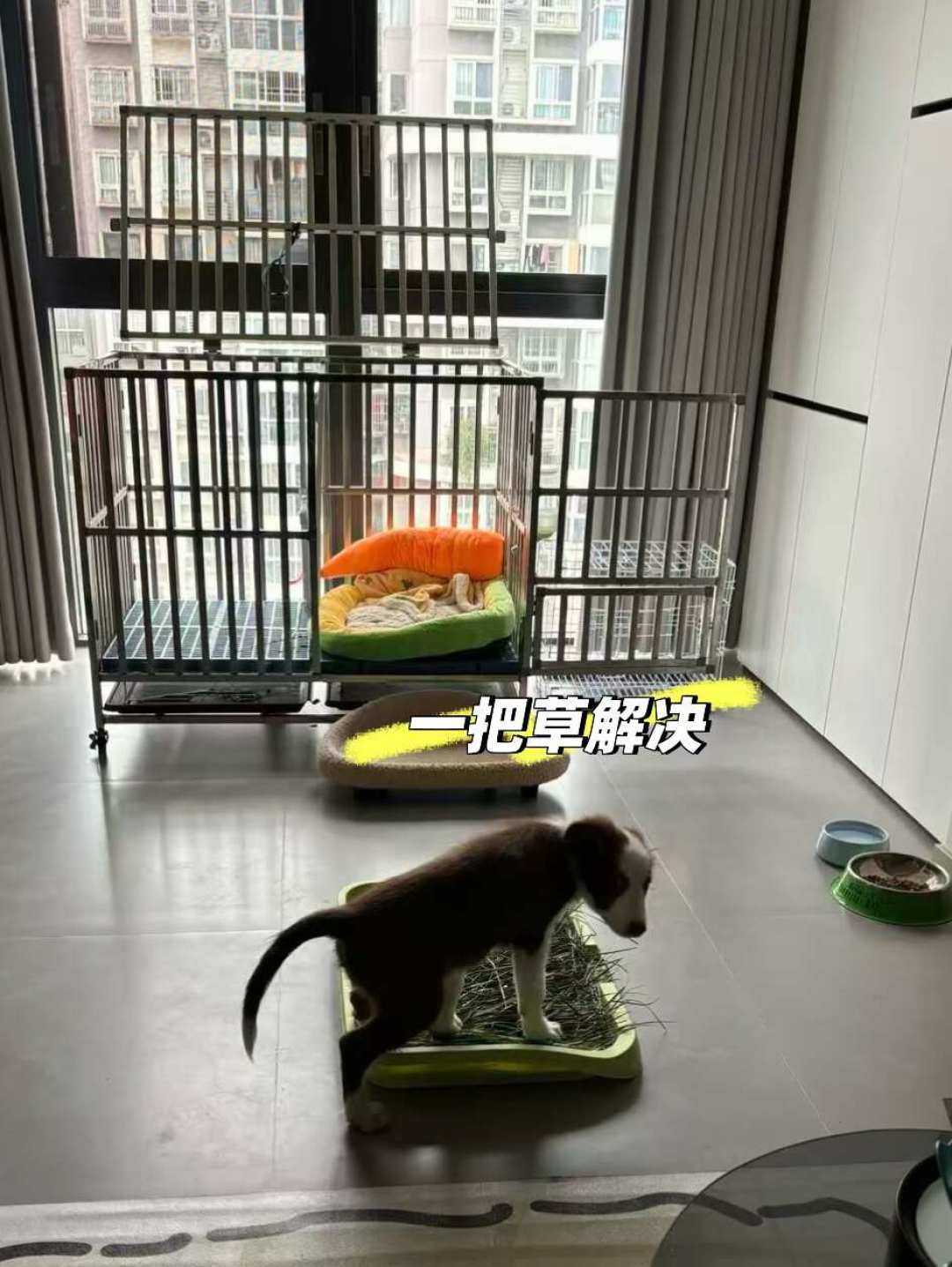 十几块的定点排便诱导剂,有人喊救命,有人骂智商税:翻完几百条真实评价,我发现差别就在这一步