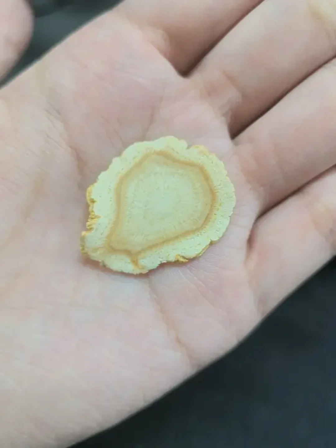 出伏还有1周，西洋参进入旺季：买雷允上前，先搞懂“饮片级”和“食品级”的区别