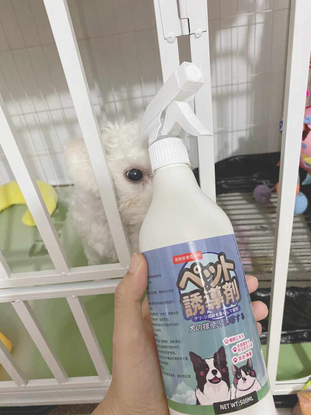十几块的定点排便诱导剂,有人喊救命,有人骂智商税:翻完几百条真实评价,我发现差别就在这一步