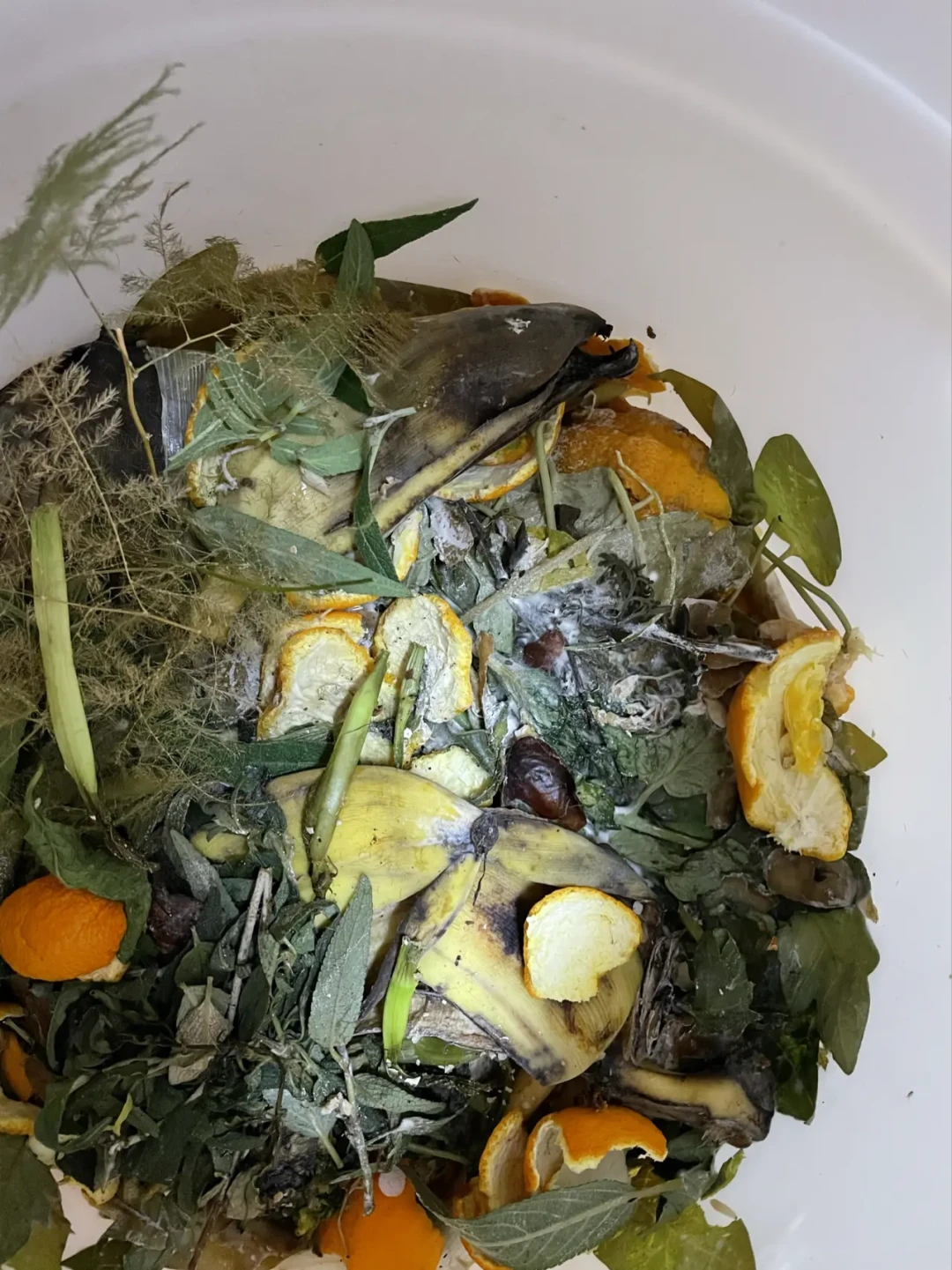 爆赞3.5万的西瓜皮软糖,评论区一堆人炒成了焦糖:西瓜皮扔和留之前,先算这两笔账