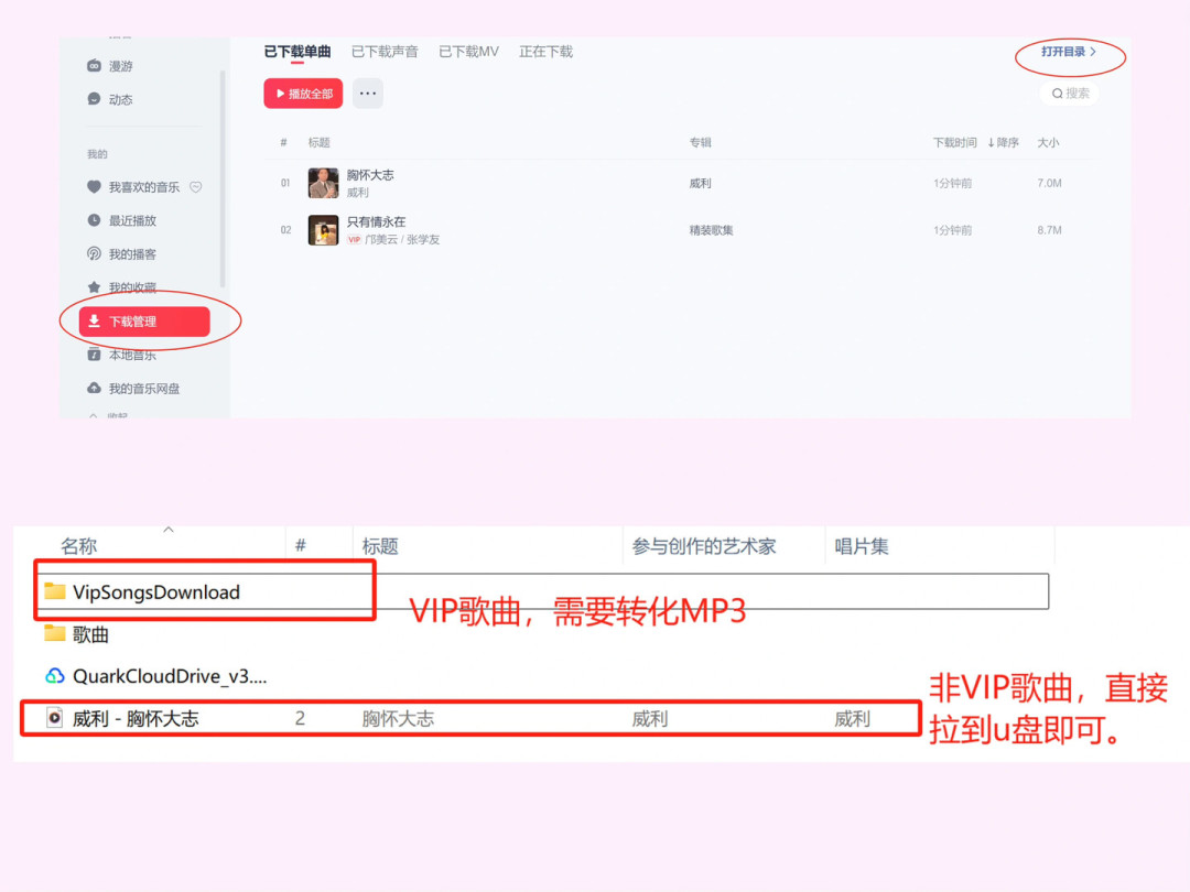 黑胶会员下载的歌,车里放不了?网易云的会员是
