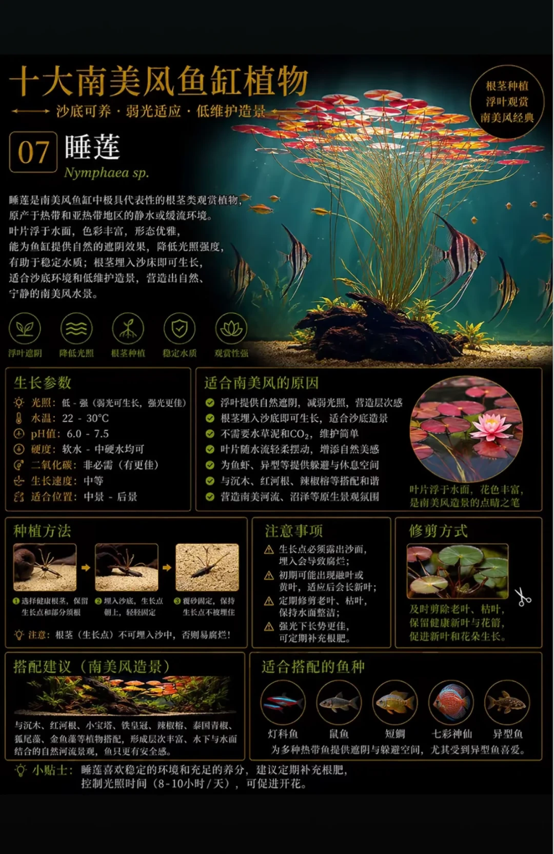 “不需要CO2”一半是营销话术：对照了3份最火的无碳清单和评论区翻车现场，同样的草，差在你买的是哪种“叶”