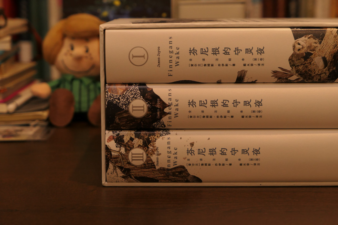 《芬尼根的守灵夜》拿下鲁奖翻译奖：18年译成、4万条注释，值得买，但只建议三类人出手